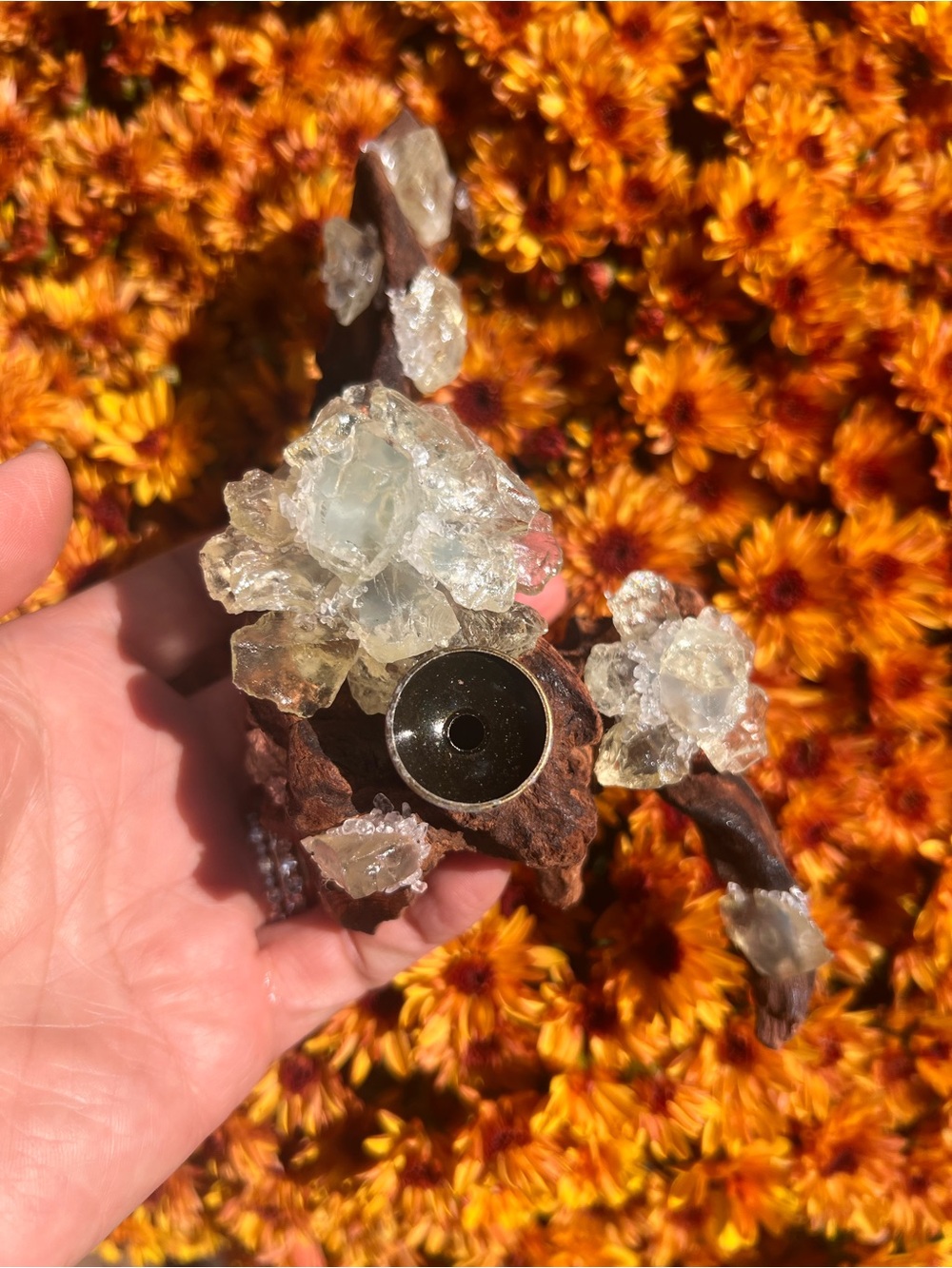 Citrine (2) 1 sphere wooden stand holder | Crystal